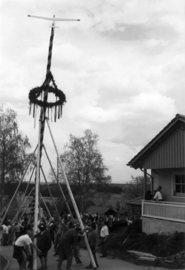 Maibaum mit Segelflugzeug an der Spitze